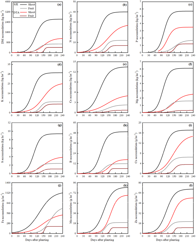 Accumulation of dry matter (DM) and nutrients in the shoot and fruit of physalis as a function of the period elapsed after planting the seedlings in Diamantina (DTA) and S&atilde;o Jo&atilde;o Evangelista (SJE), Minas Gerais State, Brazil.