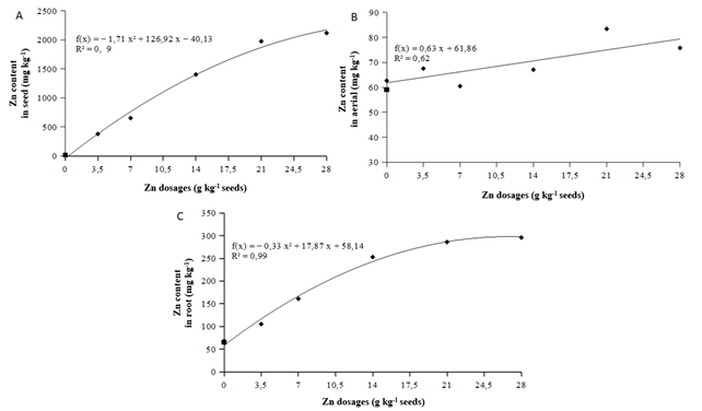 Effects of the application of doses of zinc on grain sorghum seeds on the zinc content in the seed (A), in the aerial part (B), and the root (C).