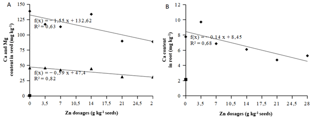 Effects of the application of zinc doses on the calcium and magnesium content in the seed (A) and the root (B).