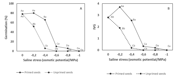 Germination percentage (A) and germination speed index (B) of Petroselinum crispum seeds subjected to different levels of saline stress. Lines followed by the same capital letters (for the levels of saline stress) and lines followed by the same lower-case letters (for conditioned and unconditioned seeds), do not differ by Tukey's test, at 5% probability.