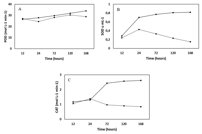 Activity of the enzymes peroxidase (A), superoxide dismutase (B) and catalase (C) during the germination of Petroselinum crispum seeds with (continuous line) and without (dashed line) osmotic conditioning.