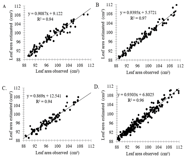 Dispersion of the leaf area estimated by the multilayer perceptron artificial neural networks, according to the leaf area observed in the validation sample of leaves from group 1 (A), group 2 (B), group 3 (C), and for all groups (D).