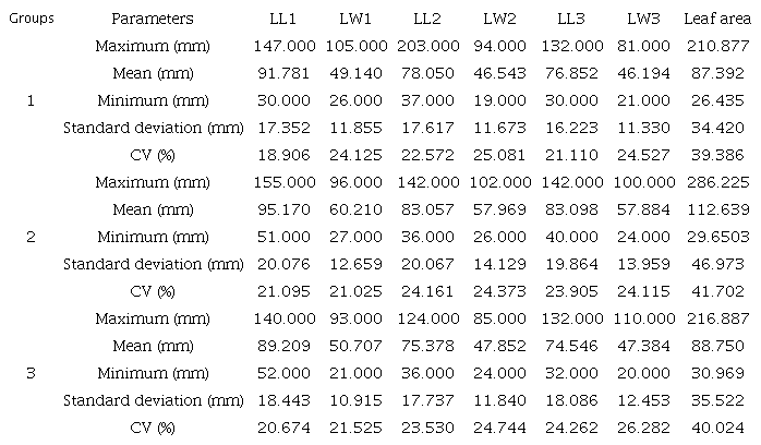 Descriptive analysis of the length, width, and leaf area of the three leaflets in each soybean group.
