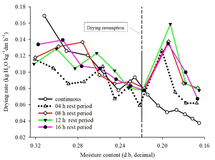Drying rate as a function of time and moisture content of maize grains (db).