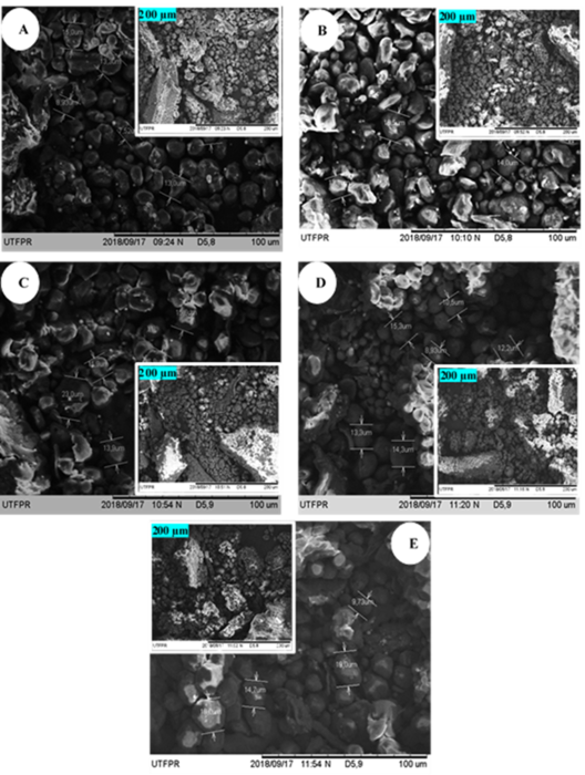 Scanning electron microscopy of maize flour after continuous and intermittent drying of maize grains with different rest periods. Images captured with resolutions of 500 X (200 &micro;m, reduced) and 1,000 X (100 &micro;m, normal). A) Continuous drying; B, C, D, and E) intermittent drying with 4, 8, 12, and 16 hours of rest period, respectively.