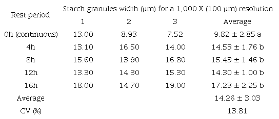 Width of three starch granules (&micro;m) of maize flour by scanning electron microscopy after continuous and intermittent drying of maize grains with different rest periods for a 1,000 X (100 &micro;m) resolution.