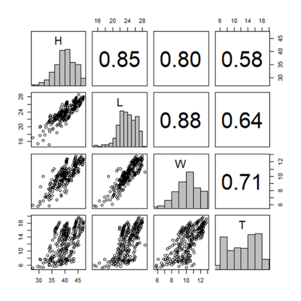 Correlations between morphometric measures (plant height (H), cladode length (L), cladode width (W), and cladode thickness (T)) of N. cochenillifera Giant Sweet clone.