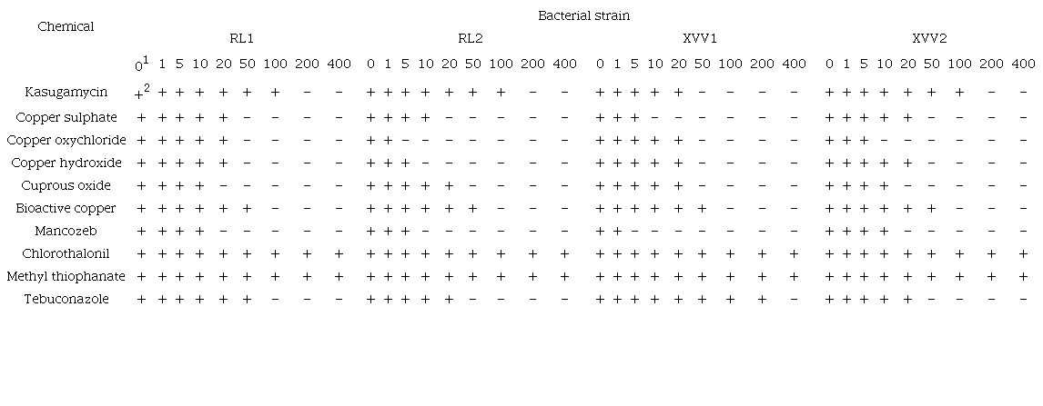 Sensitivity in vitro of the RL1, RL2, XVV1, and XVV2 strains of Xanthomonas vasicola pv. vasculorum to different chemicals.