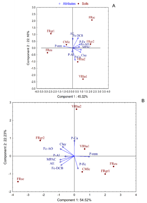 Principal component analysis (PCA) that relates the type of the soil with indicators of the phosphate buffer capacity (PBC) in the layers 0-20 cm (A) and 20-40 cm (B) deep. VRha1, Haplic Vertisol (Calcaric); VRha2, Haplic Sodic Vertisol; CMle, Calcaric Leptic Cambisol; FRac, Geric Acric Ferralsol; FRgr1, Geric Ferralsol (Dystric); FRgr2, Geric Ferralsol (Dystric); FReu, Ferralsol (Eutric, Loamic); P-rem, P-remaining; MPAC, maximum P adsorption capacity; AE, Adsorption energy; Fe-AO, Fe extracted with ammonium oxalate; Fe-DCB, Fe extracted with sodium dithionite-citrate-bicarbonate; P-Ca, P associated to Ca; P-Al, P associated to Al; and P-Fe, P associated to Fe.