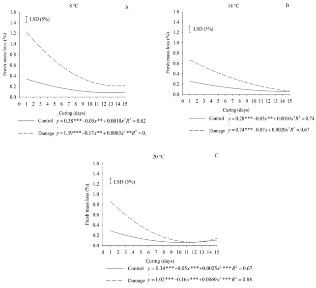 Fresh mass loss of potato cv. Innovator during the 15-day curing at 8&deg;C (A), 14&deg;C (B), and 20&deg;C (C). LSD - significant minimum difference at 5% level by t-test.