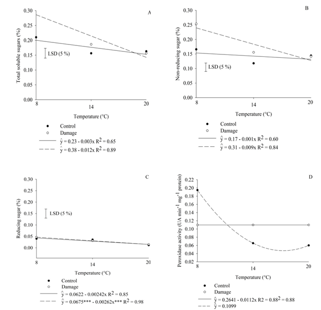 Total soluble sugars (A), non-reducing sugar (B), and reducing sugar (C) from potato tubers cv. Innovator control (without damage) and excoriation damage after 15 days of curing at 8, 14, and 20&deg;C. Peroxidase activity (D) of potato cv. Innovator control after 15 days of curing at 8, 14, and 20&deg;C. LSD - significant minimum difference at 5% level by t-test.