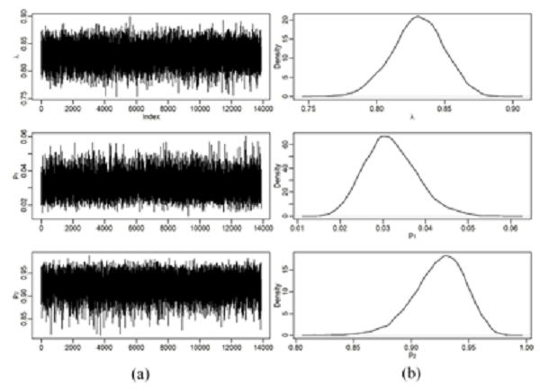 (a) Traces of the MCMC chains and (b) graphical representation of a posteriori densities for parameters λ, p1 and p2 .