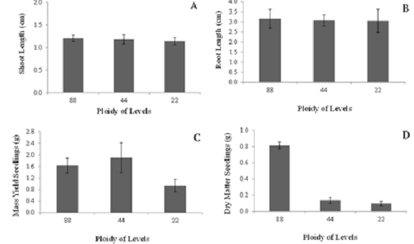 Length of aerial part (A) and root (B), fresh mass (C), and dry seedling weight (D) of cultivars of forage palm genera, Opuntia and Nopalea, depending on the level of ploidy (88, octaploid; 44, tetraploid; and 22, diploid). Averages followed by the same letter do not differ statistically. Tukey's test was applied at the 5% probability level. The bars represent the means (n = 4) &plusmn; standard error of the mean.