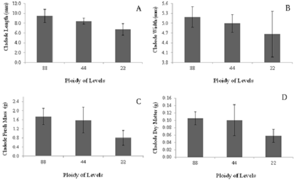 Length (A) and width (B), fresh mass (C), and dry cladode weight (D) of cultivars of forage palm genera, Opuntia and Nopalea, depending on the level of ploidy (88, octaploid; 44, tetraploid; and 22, diploid). Averages followed by the same letter do not differ statistically. Tukey's test was applied at the 5% probability level. The bars represent the means (n = 4) &plusmn; standard error of the mean.