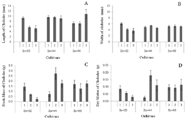 Length (A), width of cladodes (B), fresh mass (C), and dry mass of cladodes (D) of cultivars of forage palm of the genera, Opuntia and Nopalea, depending on the level of ploidy. Diploids (2n = 22) (1 - &lsquo;F8&rsquo;, 2 - &lsquo;F21&rsquo;, and 3 - &lsquo;IPA Sert&acirc;nia&rsquo;); tetraploids (2n = 44) (1 - 'Clone 6 African Elephant Ear', 2 - 'Mexican Elephant Ear', and 3 - 'V19'), and octoploids (2n = 88) (1 - 'Round', 2- 'Giant', and 3 - 'IPA Clone 20'). Averages followed by the same letter, within the same ploidy level, do not differ by the Tukey test at the 5% probability level. The bars represent the means (n = 4) &plusmn; standard error of the mean.