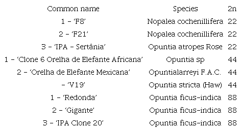 Common name, species, and chromosome number of forage palm cultivars used in the trial.