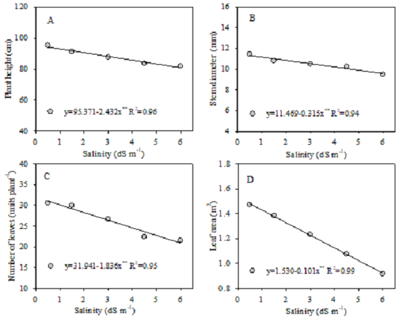 Plant height (A), stem diameter (B), number of leaves (C), and leaf area (D) of the tomato IPA 6 under various salinity levels and with or without epibrassinolide application.