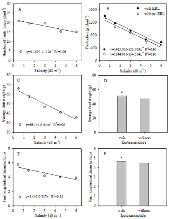 Number of fruits (A), production (B), average fruit weight (D and E), and fruit longitudinal diameter (E and F) of the tomato IPA 6 under various salinity levels and with or without epibrassinolide application.