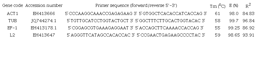Description of the candidate reference genes for RT-qPCR analysis.
