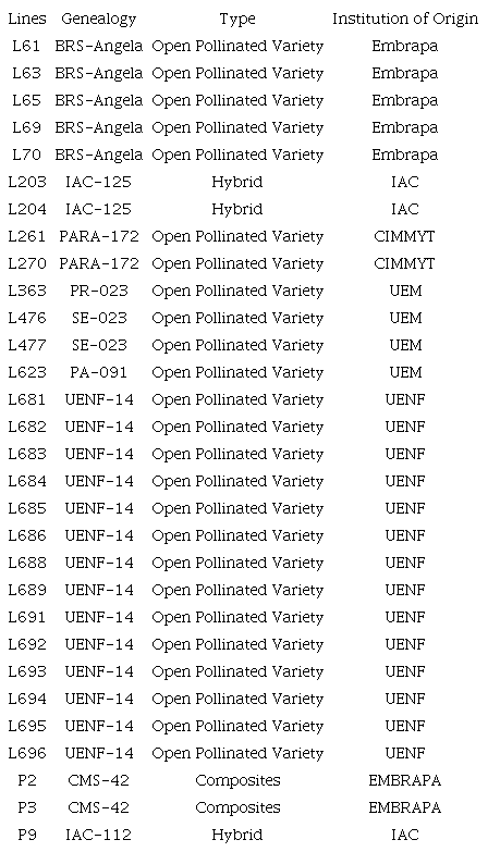 Genealogies of evaluated popcorn lines with potential for baby corn production.