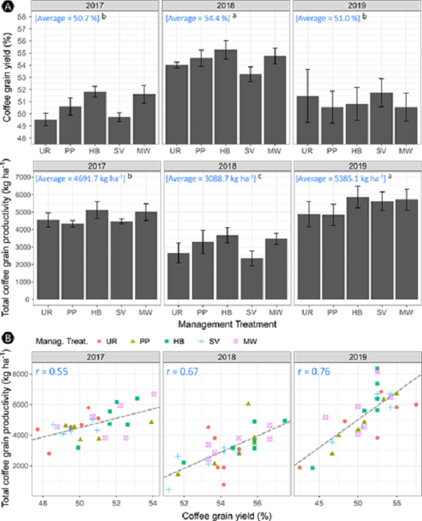 A) Yield and total productivity of coffee grains (in kg ha-1). The boxes show the yields and productivity per year (2017, 2018, and 2019), with the annual averages shown in the upper left corner of each box. The vertical intervals in the bars correspond to the standard error of the mean, while the letters (a, b, and c) compare the treatments in the different years using the Tukey test (α = 5%). B) Correlation between the variables yield and productivity per plot in the years evaluated. UR - U. ruziziensis with mowing; PP - P. phaseoloides with mowing; HB - application of herbicides (glyphosate + 2,4-D); SV - spontaneous vegetation with mowing; MW - manual weeding.