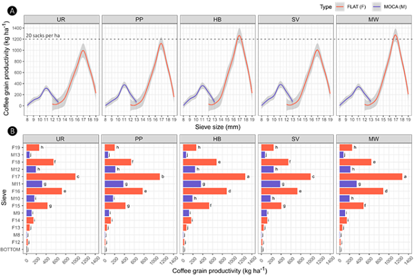 Relationship of grain size compared to management strategies. A) Adjusted LOESS regression showing the behavior of the accumulations of coffee grains processed through a sieve. The sieves have two types of grains (flat (red) or &ldquo;moca&rdquo; (blue)). The shadow around the adjustments is the standard error covering the three years of measurement. B) Scott-Knott test for the &ldquo;sieve &times; treatment&rdquo; interaction of ANOVA (Table 3). The letters (a-j) are comparable both inside and between boxes. The box titles are the five management strategies: UR - U. ruziziensis with mowing; PP - P. phaseoloides with mowing; HB - herbicide application (glyphosate + 2,4-D); SV - spontaneous vegetation with mowing; MW - manual weeding.