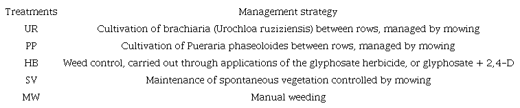 Treatments adopted as a weed management strategy between coffee lines.