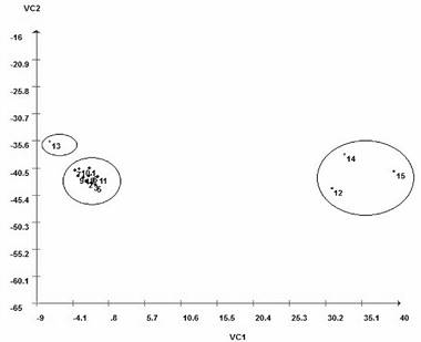 Scatter plot of the scores in relation to the two axes representing the first two canonical variables (VC1 and VC2). VC1 (95.23%) and VC2 (1.84%). 1 = UFU-Sci # 2; 2 = UFU-Sci # 3; 3 = UFU-Sci # 5; 4 = UFU-Sci # 6; 5 = UFU-Sci # 8; 6 = UFU-Sci # 11; 7 = UFU-Sci # 12; 8 = UFU-Sci # 16; 9 = UFU-Sci # 18; 10 = UFU-Sci # 20; 11 = UFU-Sci # 25; 12 = UFU-TOM-MOTHER-2 (recurrent parent); 13 = UFU MC TOM1 (donor parent); 14 = Santa Cruz Kada; and 15 = Santa Clara. 