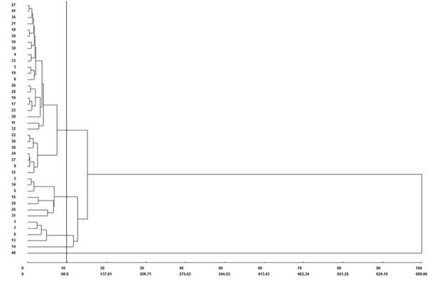 Dendrogram developed from quantitative data with the Mahalanobis generalized distance (D&sup2;ii') and by the UPGMA clustering method among 41 lettuce genotypes. 1 = UFU-117#1#3#1; 2 = UFU-206#1#6#8; 3 = UFU-86#1#2#1; 4 = UFU-75#1#1#1; 5 = UFU-189#3#1#1; 6 = UFU-197#3#1#1; 7 = UFU-125#1#1#1; 8 = UFU-7#1#2#1; 9 = UFU-155#1#1#1; 10 = UFU-206#3#2#1; 11 = UFU-189#2#3#1; 12 = UFU-184#2#5#1; 13 = UFU-107#1#2#1; 14 = UFU-86#2#1#1; 15 = UFU-75#3#2#1; 16 = UFU-120#1#1#1; 17 = UFU-189#1#2#1; 18 = UFU-206#1#1#1; 19 = UFU-75#3#1#1; 20 = UFU-197#1#1; 21 = UFU-189#2#2#1; 22 = UFU-197#2#2#1; 23 = UFU-189#2#1#1; 24 = UFU-199#2#1#1; 25 = UFU-206#1#6#1; 26 = UFU-206#1#3#1; 27 = UFU-189#3#4#1; 28 = UFU-206#1#4#1; 29 = UFU-125#2#2#1; 30 = UFU-206#1#2#1; 31 = UFU-117#1#1#1; 32 = UFU-189#3#2#1; 33 = UFU-199#1#1#1; 34 = UFU-206#1#5#1; 35 = UFU-040#5#5#1; 36 = UFU MC BIOFORT1; 37 = Grand Rapids; 38 = Uberl&acirc;ndia 10000; 39 = Bel&iacute;ssima; 40 = Everglades; 41 = Ver&ocirc;nica.