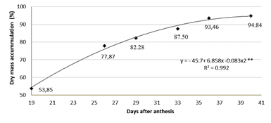 Dry mass accumulation of diaspores of Baccharis dracunculifolia throughout the maturation process. (**) Significance of P &le; 0.01, according to the F-test.