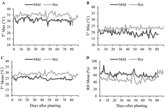 A: Maximum temperature (T&deg; Max; &deg;C), B: minimum temperature (T&deg; Min; &deg;C), C: mean temperature (T&deg; Mean; &deg;C), and D: mean relative humidity (RH Mean; %) during the hot and mild cowpea cropping seasons.