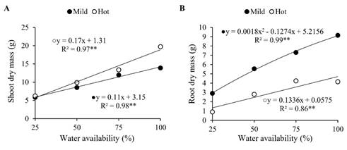 Shoot dry mass (A) and root dry mass (B) as a function of water availability and growing season. Regression coefficient significant at p < 0.01 (**).