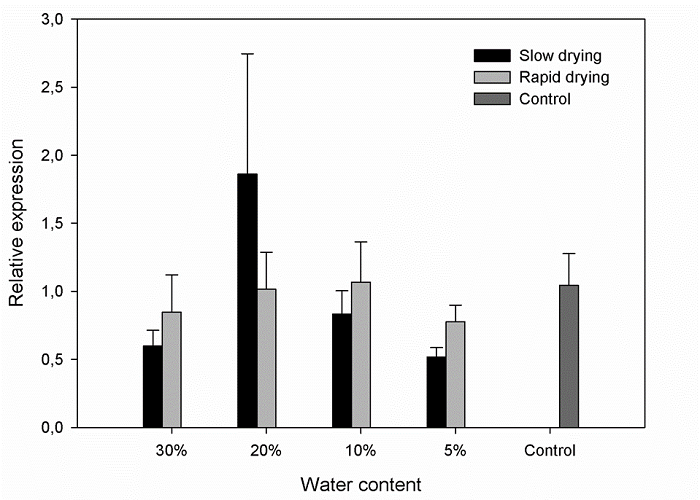 Profile of the relative expression of 1 CYS PRX in C. arabica seeds under rapid drying and slow drying with different water content values and in seeds that were not dried (control).