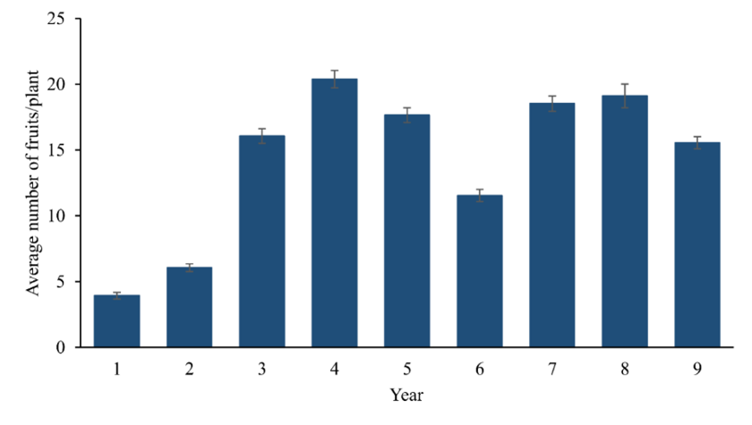 Average and standard error in the number of fruits (NF) produced per plant over nine harvests in a clonal competition trial of T. grandiflorum established in an agroforestry system, in the municipality of Tom&eacute;-A&ccedil;u, State of Par&aacute;, Brazil.