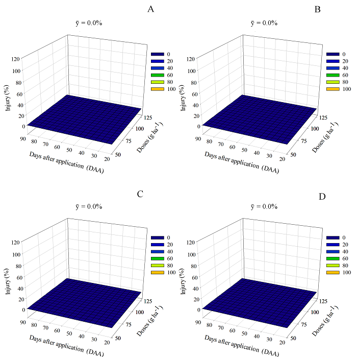 Percentage of injury in cassava plants after application of flumioxazin in a clayey (A and B) and in a sandy soil (C and D). A and C, variety &lsquo;IPR B36&rsquo;; B and D, clone &lsquo;VN 117&rsquo;.
