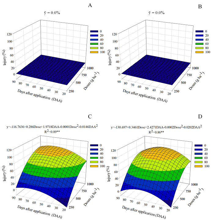 Percentage of injury in cassava plants after sulfentrazone application in a clayey (A and B) and in a sandy soil (C and D). A and C, variety &lsquo;IPR B36&rsquo;; B and D, clone &lsquo;VN 117&rsquo;. **Significant at 1% (F < 0.01) as per the F-test.