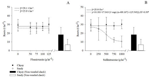 Cassava root yields after flumioxazin (A) and sulfentrazone (B) applications in a clayey and in a sandy soil. *significant at 5% as per the F-test. Bars indicate standard deviations of the means.