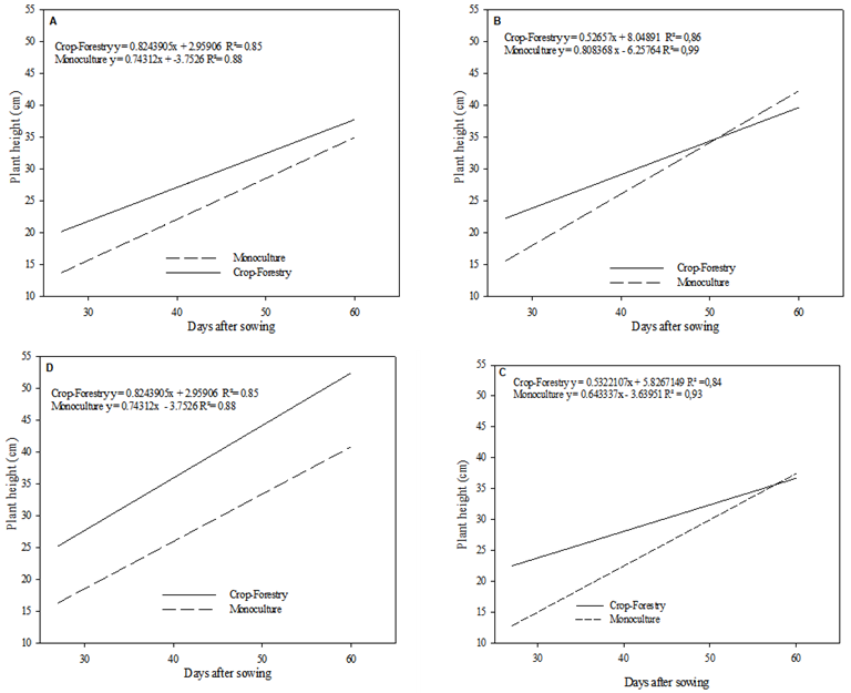 Means of height of soybean cultivars M8644 IPRO (A), ST 797 IPRO (B), Desafio (C), and TMG 1288 RR (D) produced in monoculture and in crop-forest integration evaluated in four periods after sowing.