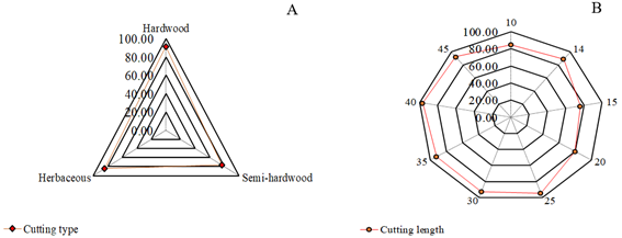 Average highest rooting percentages (%) of grapevine cuttings for type (A) and length (cm) (B).