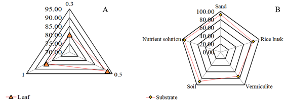 Average highest rooting percentages (%) of grapevine cuttings for 0.3 (30% of a leaf), 0.5 (50% of a leaf), 1 (100% of a leaf )(A) and substrate type (B).