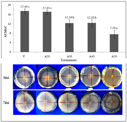 Area under the mycelial growth curve (AUMGC) (7 days after incubation) of S. sclerotiorum inoculated in potato dextrose agar in the presence of the autoclaved culture of B. amyloliquefaciens PKM16. Means followed by the same letter did not differ by the Scott-Knott test (p < 0.05). CV(%) = 19.73.