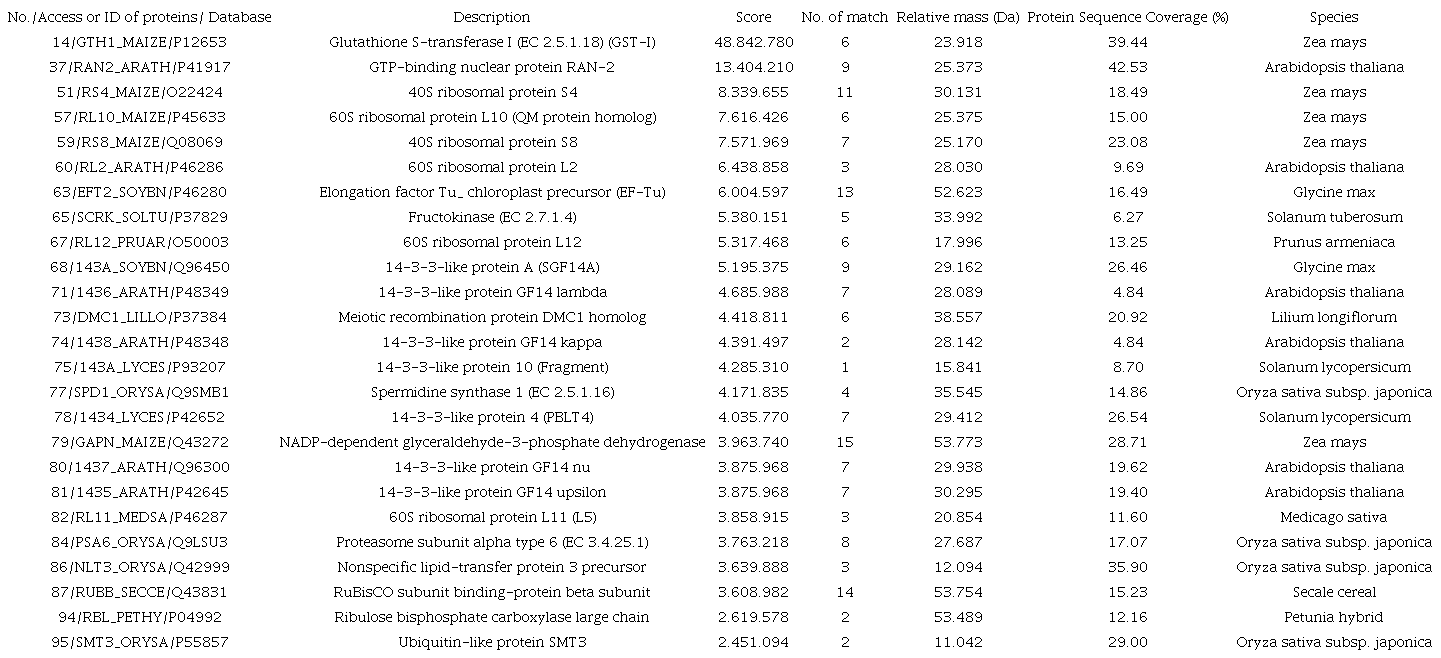 Proteins exclusively detected in axillary buds of the fifth cut (forth ratoon) of the sugarcane cv. RB966928.