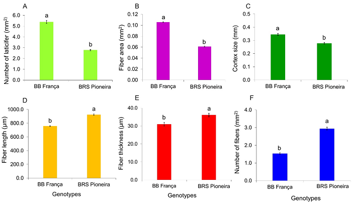 Morphometric assessment of the anatomical characteristics of the pedicel drop zone of banan fruit in stage 6 of ripening. A) Number of laticifers. B) Fiber area. C) Cortex size. D) Fiber length. E) Fiber thickness. F) Number of fibers. Means followed by the same letter do not differ from each other by F test, p < 0.05.