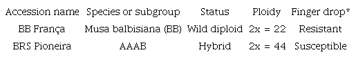 Description of the genotypes used in this study.
