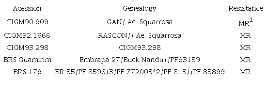 Genotypes used in the crossings aiming resistance to FHB.