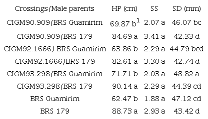 Plant height (HP), spike shape (SS), and spike density (SD), in F1RC2 populations and male parents produced in 2018.