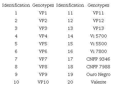 Identification of black common bean genotypes.