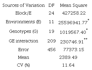 Summary of joint variance analysis of black common bean genotypes evaluated for grain yield (kg ha-1) in 12 environments in Minas Gerais State.