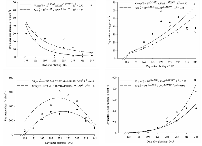 Dry matter of seed-rhizomes (A), roots (B), shoot (C), and storage rhizomes (D) of arrowroot plants of the varieties Vi&ccedil;osa and Seta throughout the cultivation cycle. **Significant at 1% probability by the t-test.