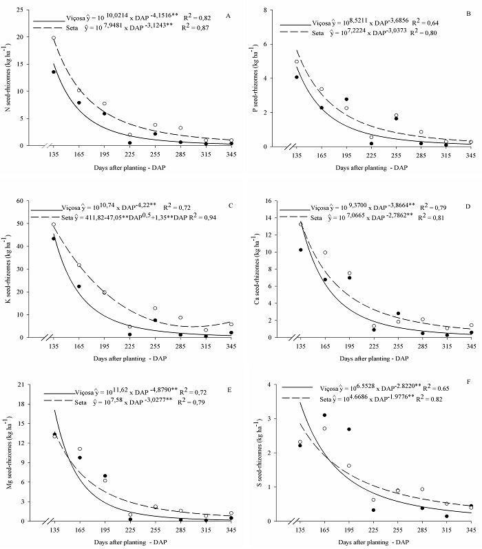 Contents of N, P, K, Ca, Mg, and S in the seed-rhizomes of the arrowroot varieties Vi&ccedil;osa and Seta throughout the cultivation cycle. **Significant at 1% probability by the t-test.